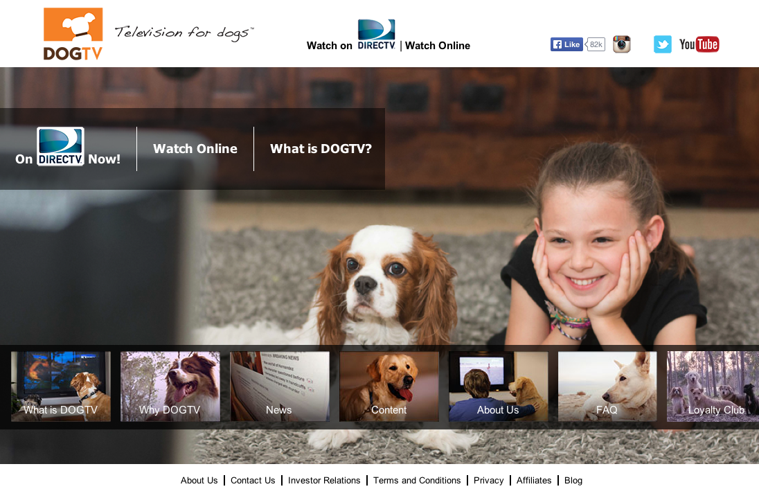 Discovery invests in pet channel DogTV – Digital TV Europe