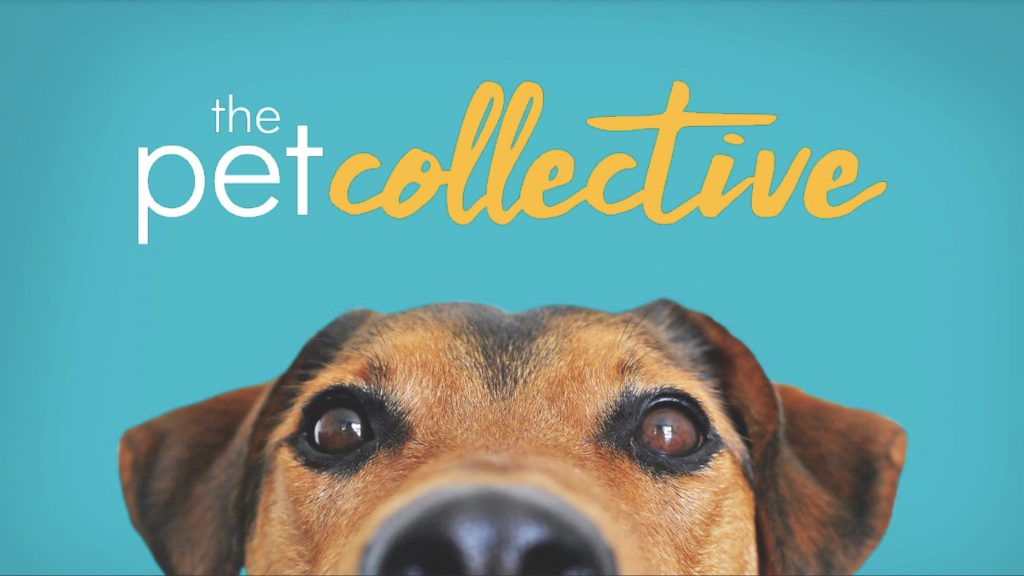 TMB brings The Pet Collective to IMDb TV - Digital TV Europe