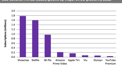 African OTT: Wi-Flix’s challenge to Showmax and Netflix